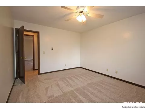 115 Exeter Ct, Springfield, IL 62704 photo 28