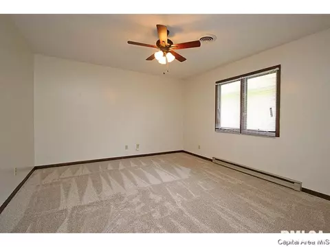 115 Exeter Ct, Springfield, IL 62704 photo 22