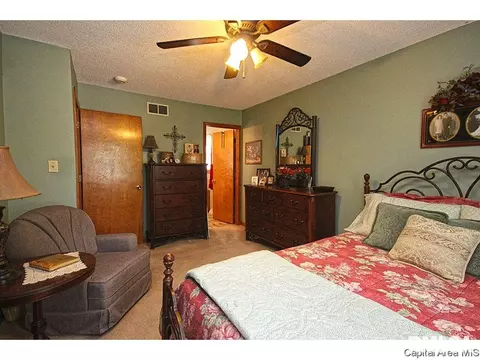 2428 Mayfair Rd, Springfield, IL 62703 photo 19