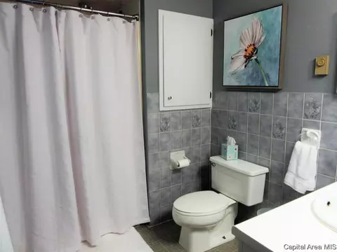22 Red Fox Ct, Springfield, IL 62712 photo 19