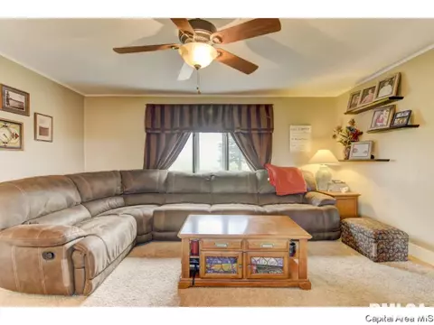 488 100th Ave, Athens, IL 62613 photo 13