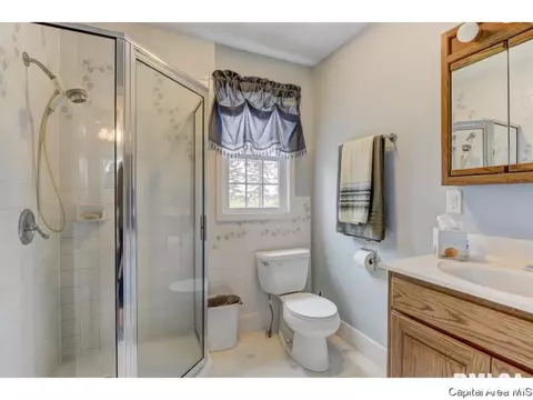 488 100th Ave, Athens, IL 62613 photo 18