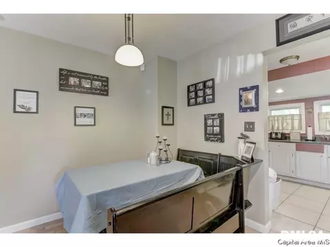 2029 E Keys Ave, Springfield, IL 62702 photo 20