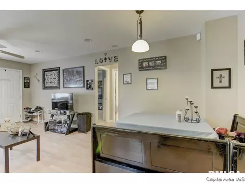 2029 E Keys Ave, Springfield, IL 62702 photo 19