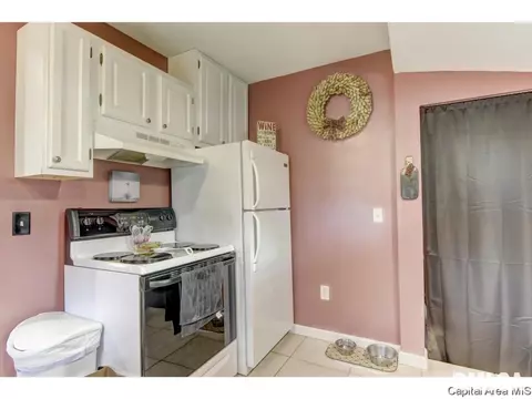 2029 E Keys Ave, Springfield, IL 62702 photo 24