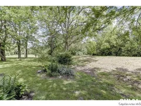 2029 E Keys Ave, Springfield, IL 62702 photo 30