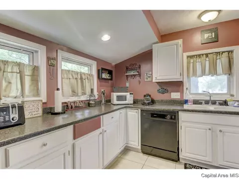 2029 E Keys Ave, Springfield, IL 62702 photo 22