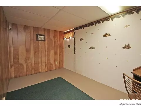 1145 W Iles, Springfield, IL 62704 photo 23