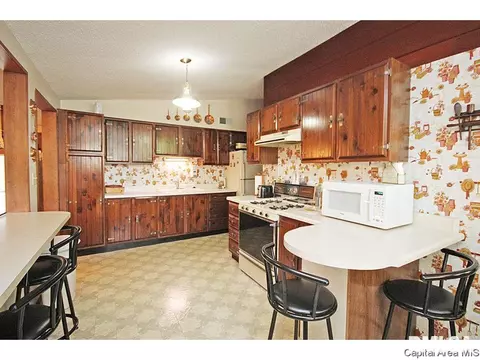 1145 W Iles, Springfield, IL 62704 photo 9