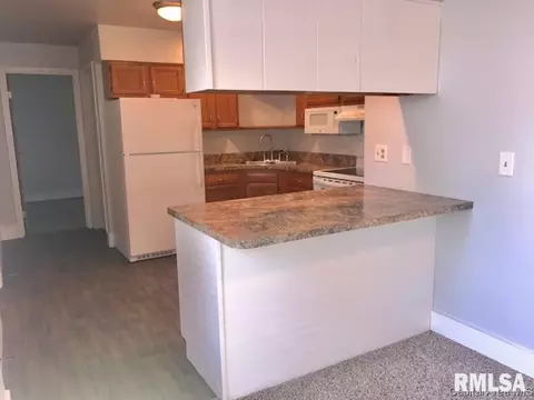 1611 W Governor St, Springfield, IL 62704 photo 10