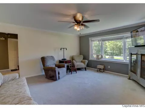 29 Desoto Dr, Springfield, IL 62711 photo 8