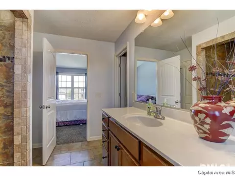 7204 Royal Troon Ct, Springfield, IL 62711 photo 20