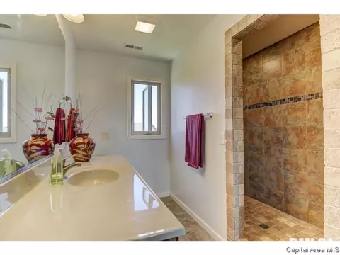 7204 Royal Troon Ct, Springfield, IL 62711 photo 21