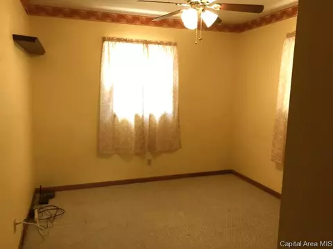 1833 Albert, Springfield, IL 62702 photo 22