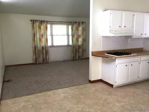 1833 Albert, Springfield, IL 62702 photo 11