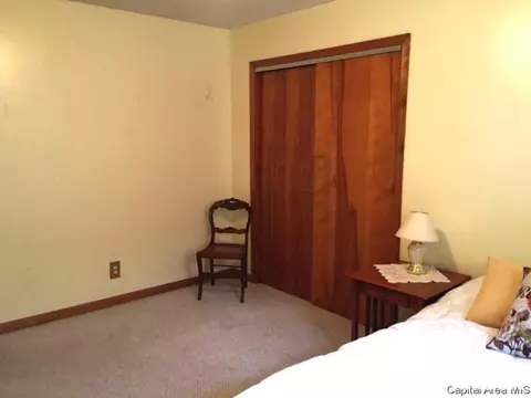 1833 Albert, Springfield, IL 62702 photo 27