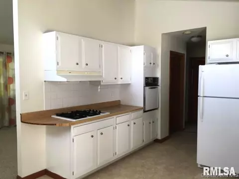 1833 Albert, Springfield, IL 62702 photo 14