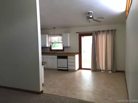 1833 Albert, Springfield, IL 62702 photo 12