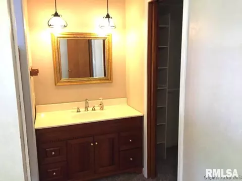 1833 Albert, Springfield, IL 62702 photo 19