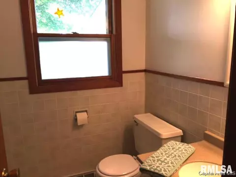 1833 Albert, Springfield, IL 62702 photo 24