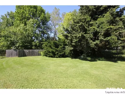 1621 Reed Ave, Springfield, IL 62704 photo 26