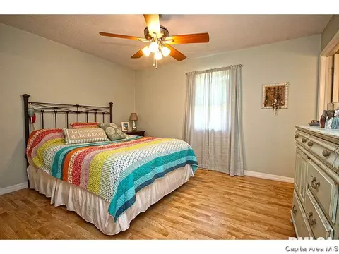 743 Hackberry Rd, Chatham, IL 62629 photo 18
