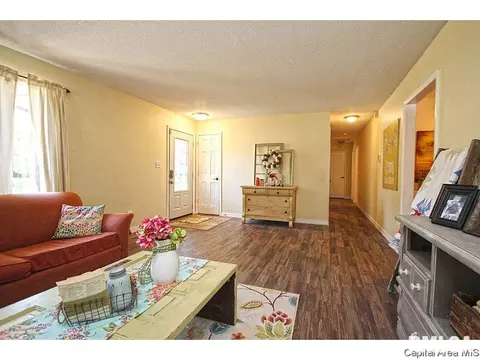 743 Hackberry Rd, Chatham, IL 62629 photo 5