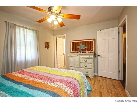 743 Hackberry Rd, Chatham, IL 62629 photo 20