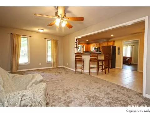 743 Hackberry Rd, Chatham, IL 62629 photo 8