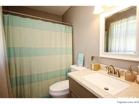 743 Hackberry Rd, Chatham, IL 62629 photo 25