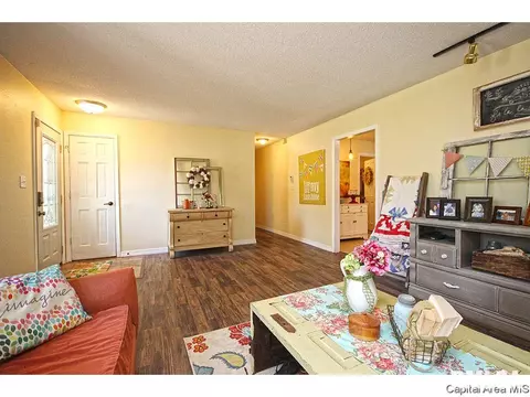 743 Hackberry Rd, Chatham, IL 62629 photo 7