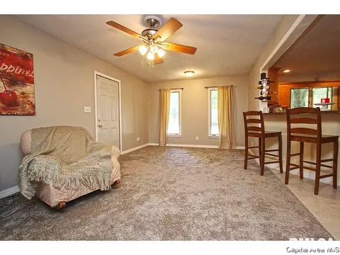 743 Hackberry Rd, Chatham, IL 62629 photo 10