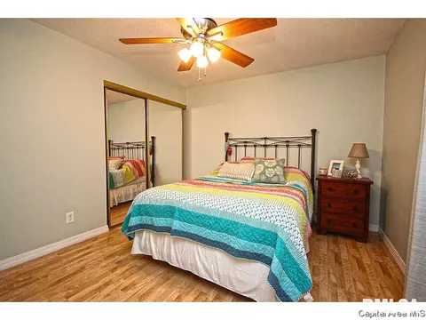 743 Hackberry Rd, Chatham, IL 62629 photo 21