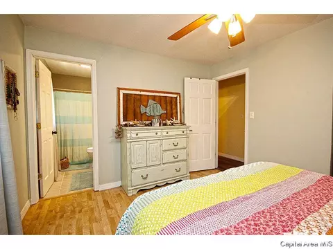 743 Hackberry Rd, Chatham, IL 62629 photo 19