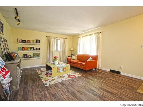 743 Hackberry Rd, Chatham, IL 62629 photo 4