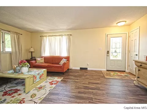 743 Hackberry Rd, Chatham, IL 62629 photo 6