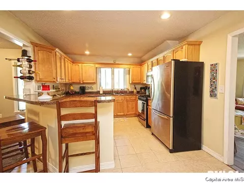 743 Hackberry Rd, Chatham, IL 62629 photo 11