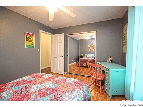 743 Hackberry Rd, Chatham, IL 62629 photo 15