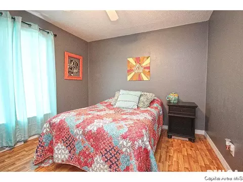 743 Hackberry Rd, Chatham, IL 62629 photo 16