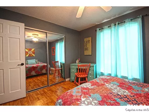 743 Hackberry Rd, Chatham, IL 62629 photo 17