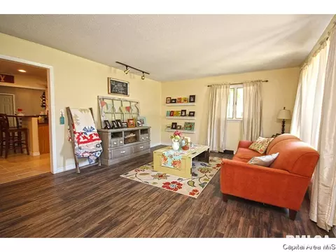 743 Hackberry Rd, Chatham, IL 62629 photo 3
