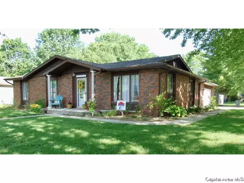 743 Hackberry Rd, Chatham, IL 62629 photo 33