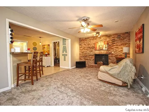 743 Hackberry Rd, Chatham, IL 62629 photo 22