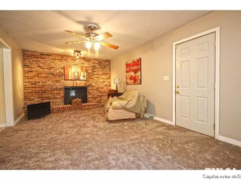 743 Hackberry Rd, Chatham, IL 62629 photo 9
