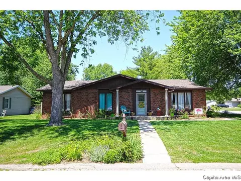 743 Hackberry Rd, Chatham, IL 62629 photo 34
