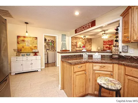 743 Hackberry Rd, Chatham, IL 62629 photo 13