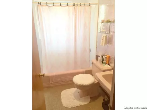 2428 Parkview Dr, Springfield, IL 62704 photo 24