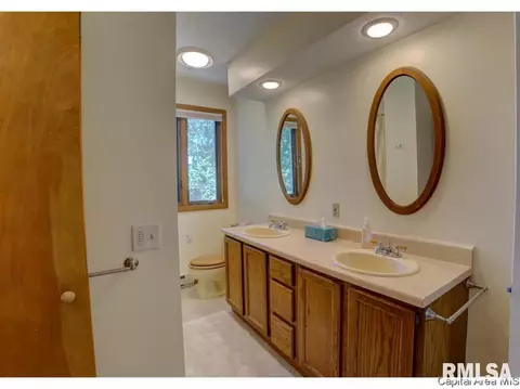 851 S Park Avenue Ct, Springfield, IL 62704 photo 20