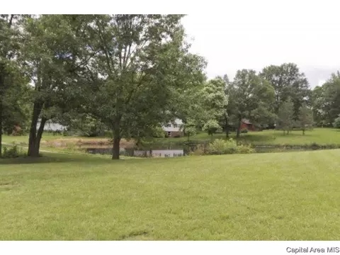 95 Nevermind Dr, Chatham, IL 62629 photo 28
