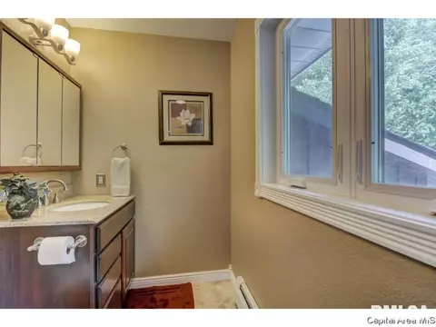 95 Nevermind Dr, Chatham, IL 62629 photo 15